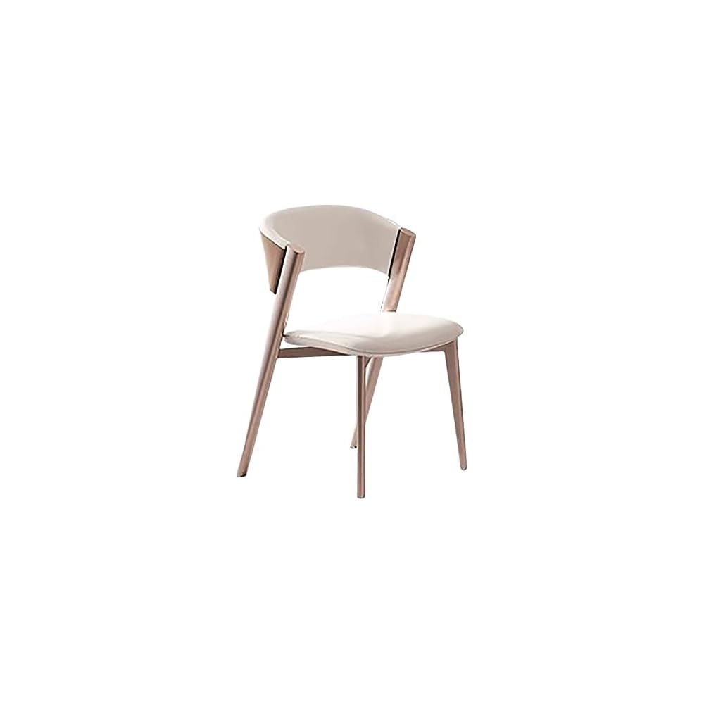Room Dinning Chair Metal Comfortable Back Support Dinning Chair Kitchen Living Room Decoration