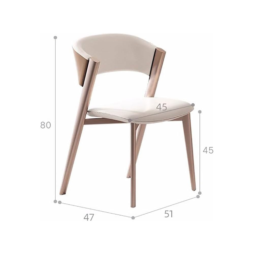 Room Dinning Chair Metal Comfortable Back Support Dinning Chair Kitchen Living Room Decoration