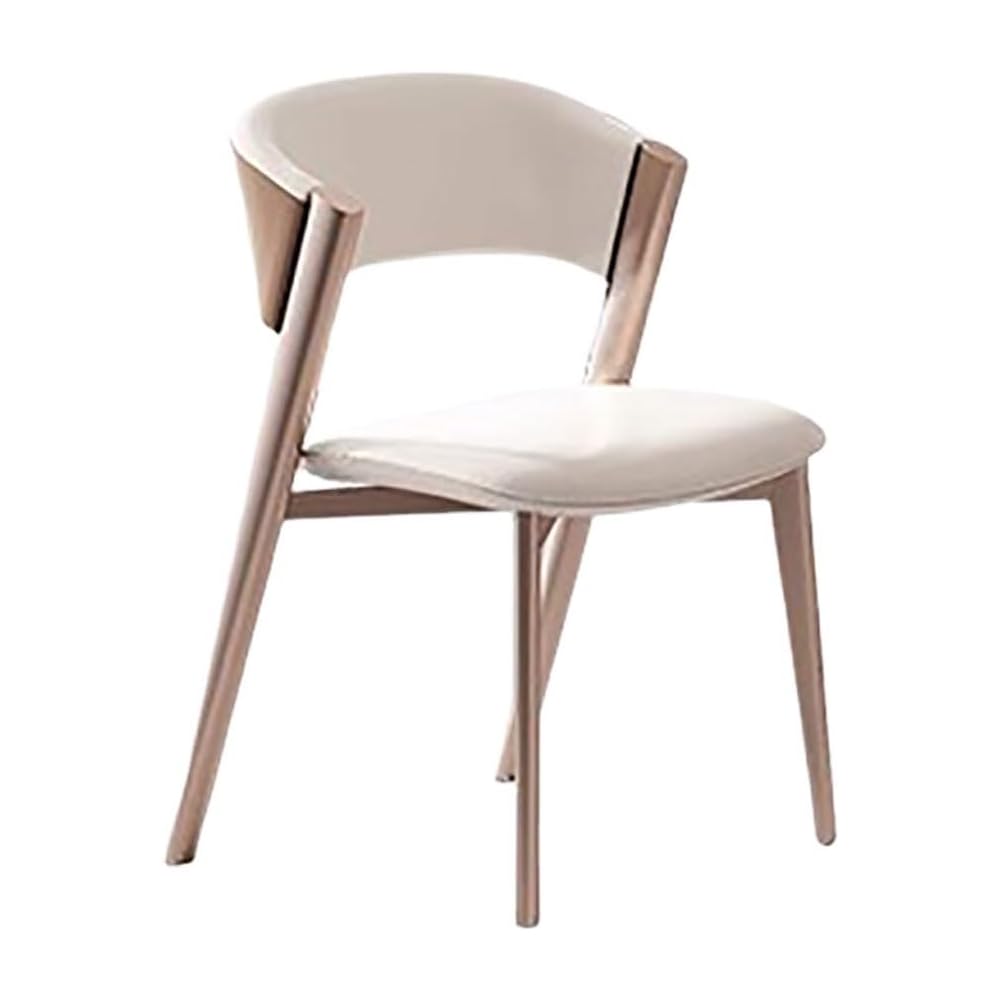Room Dinning Chair Metal Comfortable Back Support Dinning Chair Kitchen Living Room Decoration