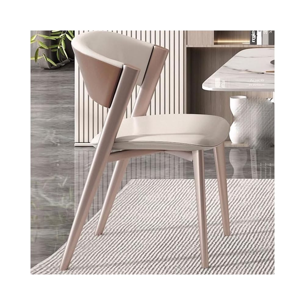 Room Dinning Chair Metal Comfortable Back Support Dinning Chair Kitchen Living Room Decoration