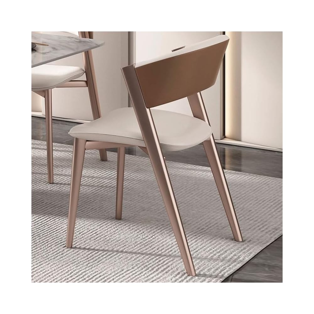 Room Dinning Chair Metal Comfortable Back Support Dinning Chair Kitchen Living Room Decoration