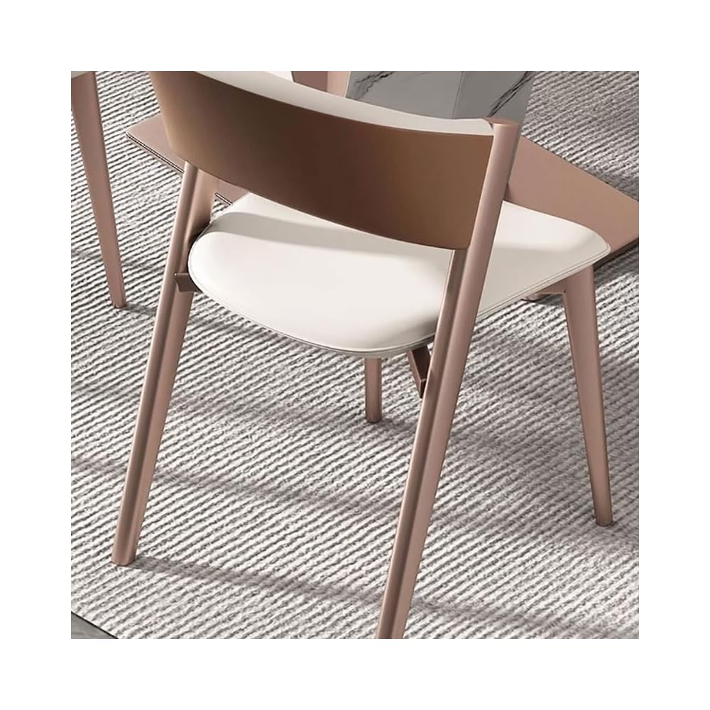 Room Dinning Chair Metal Comfortable Back Support Dinning Chair Kitchen Living Room Decoration