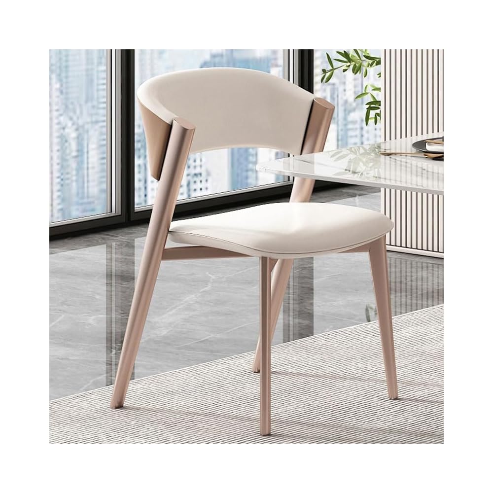 Room Dinning Chair Metal Comfortable Back Support Dinning Chair Kitchen Living Room Decoration