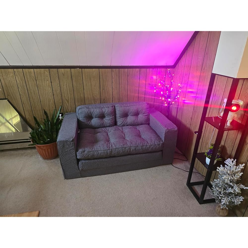 YOSHOOT Loveseat Sleeper Sofa,55" Convertible Sofa Bed Couch Futon Couches for Living Room,3-in-1 Pull Out Floor Couch with Reclining Backrest and Pillows