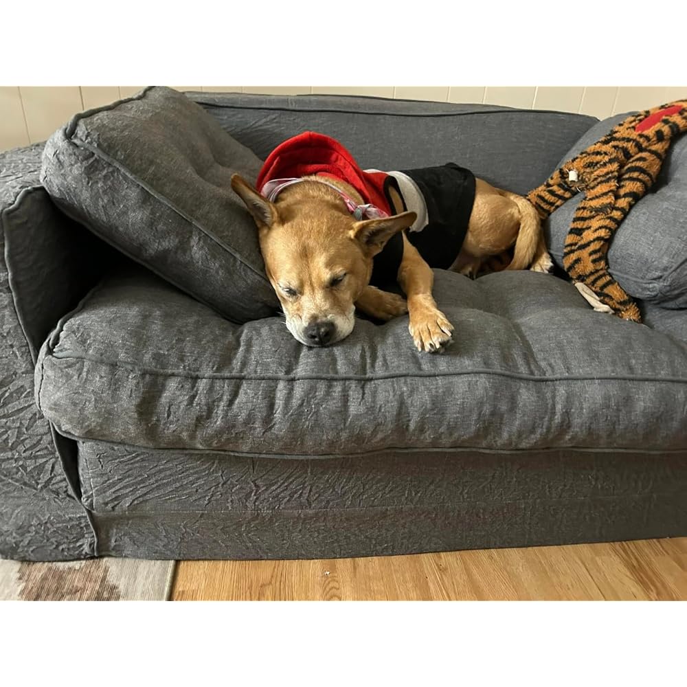 YOSHOOT Loveseat Sleeper Sofa,55" Convertible Sofa Bed Couch Futon Couches for Living Room,3-in-1 Pull Out Floor Couch with Reclining Backrest and Pillows